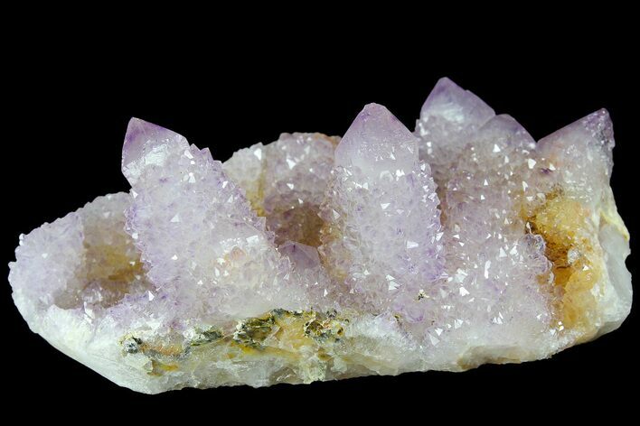 Cactus Quartz (Amethyst) Crystal Cluster - South Africa #180719